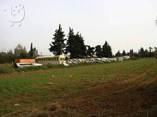 PoulaTo: ΑΓΡΟΚΤΗΜΑ ΣΤΟΝ ΜΑΡΑΘΩΝΑ